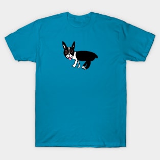 8 year old Jack: Boston Terrier T-Shirt